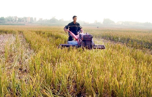 Việc dồn điền đổi thửa ở Phú Thọ