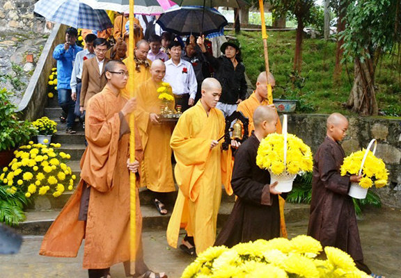 Những bông cúc đầu tiên đã khoe sắc trên núi rừng Ba Vàng