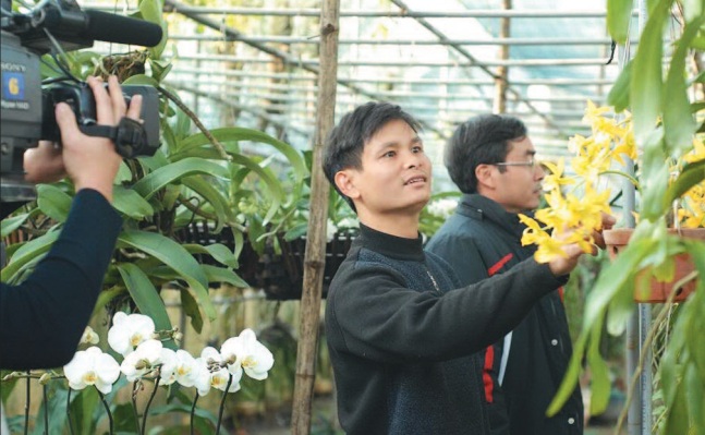 Làm truyền hình ngày Tết