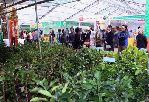 Triển lãm “Festival quốc tế nông nghiệp vùng Đồng bằng sông Cửu Long” sẽ tổ chức tại Cần Thơ