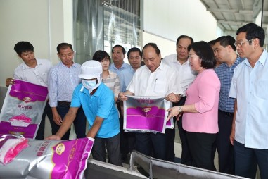 Phát triển công nghiệp năng lượng tái tạo, lợi thế so sánh của Sóc Trăng