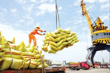 Gia hạn bán cổ phần lần đầu đối với TCty Lương thực miền Nam