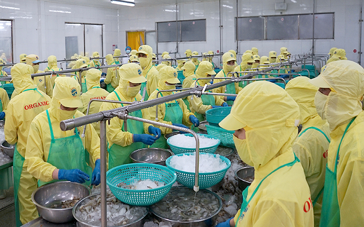 Việt Nam có tiềm năng trở thành cường quốc xuất khẩu trong khu vực