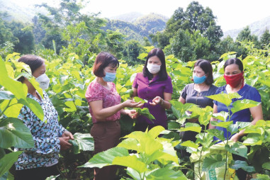 Kết nối sức mạnh để thực hiện mục tiêu giảm nghèo bền vững