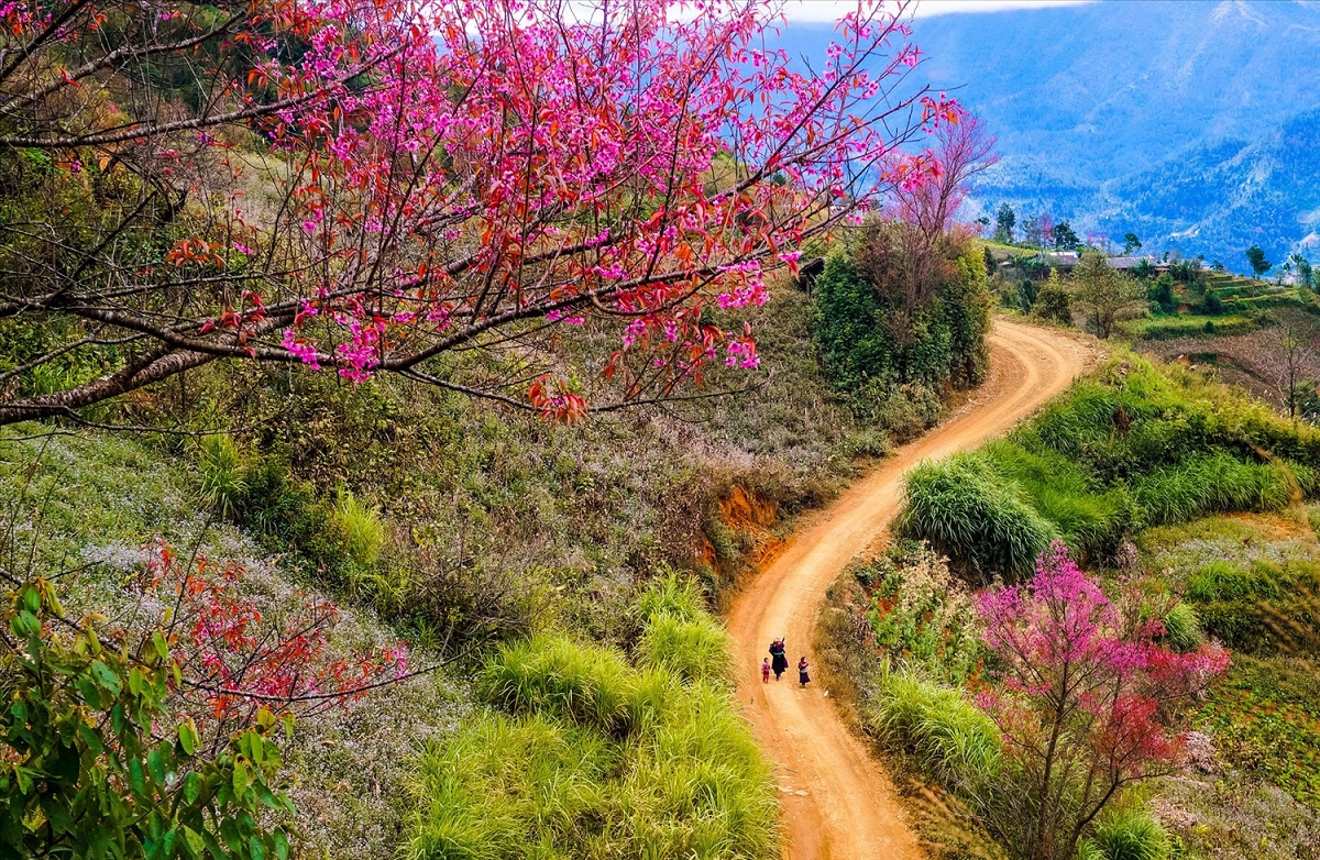 Ngày Xuân đem niềm vui đến mọi người!