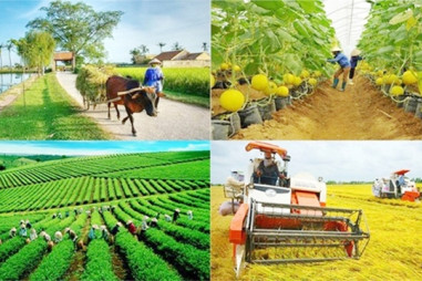 Giao kế hoạch vốn cho các địa phương thực hiện 3 chương trình MTQG