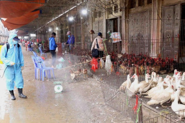 Không để bùng phát dịch Cúm gia cầm