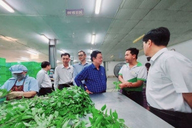 Bộ trưởng Bộ Nông nghiệp và Phát triển Nông thôn Lê Minh Hoan thăm nông trường WinEco Củ Chi