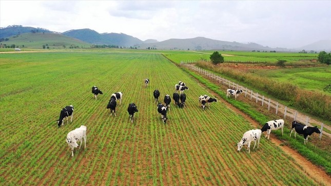 Năm 2023: Vinamilk đặt kế hoạch doanh thu kỷ lục
