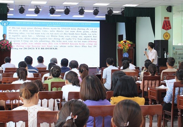 BHXH tỉnh Quảng Trị: Tăng cường các giải pháp thu hồi tiền chậm đóng BHXH, BHYT